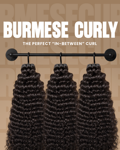 BURMESE CURLY BUNDLE DEAL